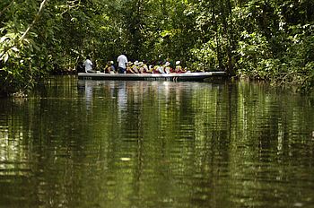 Bootstour im Tortuguero Nationalpark Bootstour im Tortuguero Nationalpark