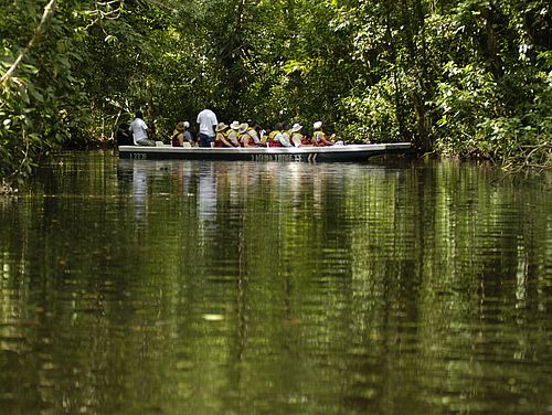Bootstour im Tortuguero Nationalpark