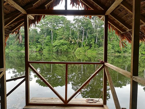 Ausblick am Amazonas