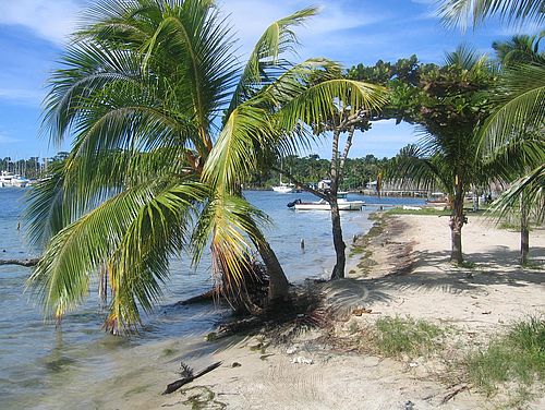 Palmen und Boote auf der Insel Colón, Bocas del Toro