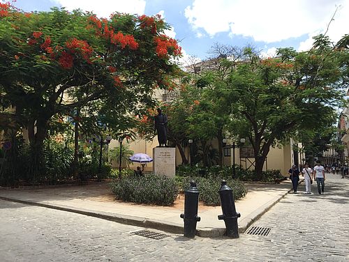 Park in Alt-Havanna