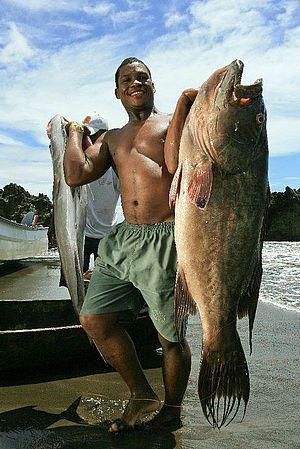 Lokaler Fischer an der Pazifikküste Kolumbiens