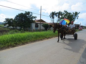 Die Pferdekutsche wird auf Kubas Straßen noch häufig benutzt ...