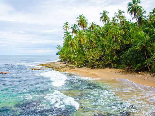 Strand mit Palmen an der Karibikküste Costa Ricas
