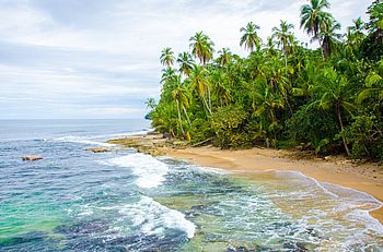 Karibikküste Costa Ricas Strand mit Palmen an der Karibikküste Costa Ricas