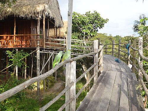 Lodge Amazonas