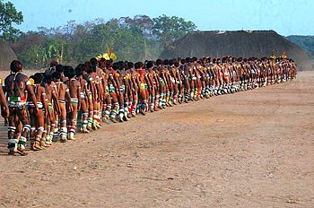 Exkursion Xingu