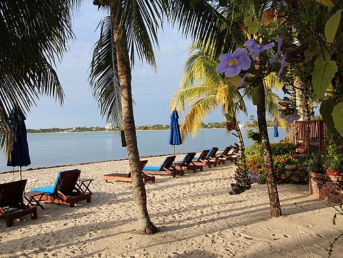 Sonnenliegen am weißen Sandstrand unter Palmen beim Hotel Chabil Mar Villas