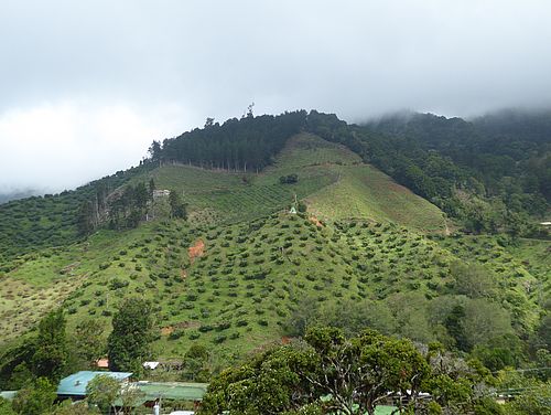 Landschaft um San Gerardo de Dota