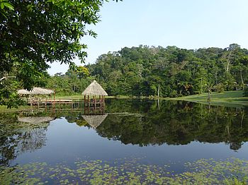 Lagune an der Maquenque Ecolodge