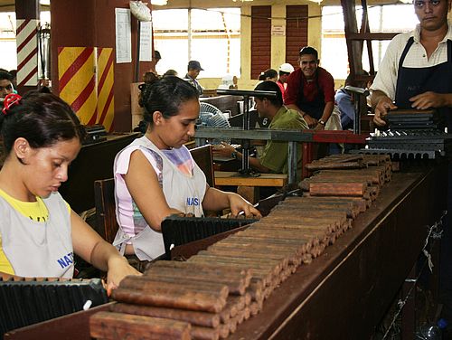 Arbeiterinnen drehen Zigarren per Hand in einer Zigarrenfabrik in Esteli