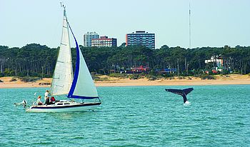 Küste vor Uruguay