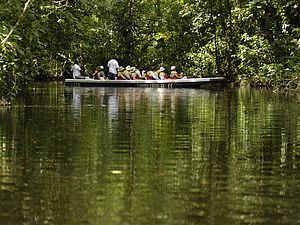 Bootstour im Tortuguero Nationalpark