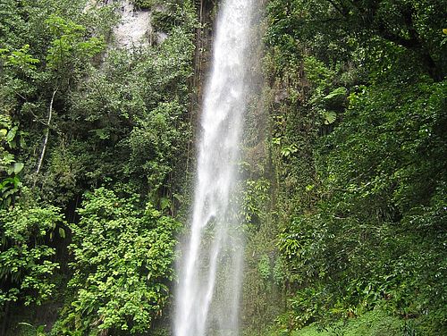 Wasserfall auf Dominica