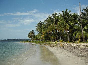 Strand auf Bocas del Toro