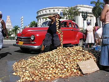 Straßenverkäufer am Capitolio in Havanna
