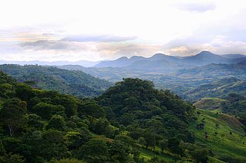 Kaffeeregion bei Matagalpa Kaffeeregion im nördlichen Hochland Nicaraguas bei Matagalpa