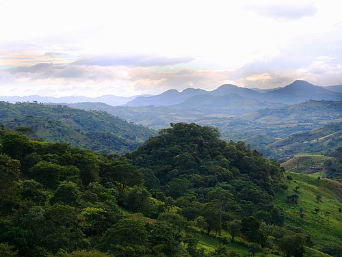 Kaffeeregion im nördlichen Hochland Nicaraguas bei Matagalpa