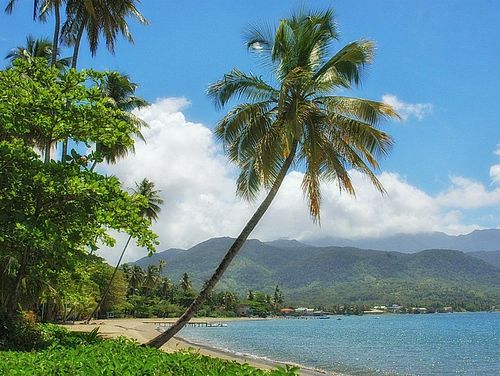 Cabrits Nationalpark auf der Insel Dominica