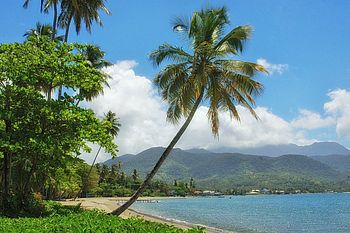 Cabrits Nationalpark auf der Insel Dominica