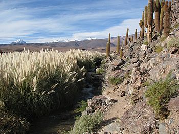 Guatin Schlucht in der Atacama-Wüste