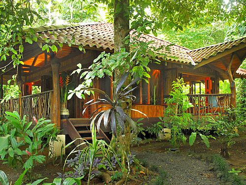 Playa Nicuesa Rainforest Lodge - Cabin