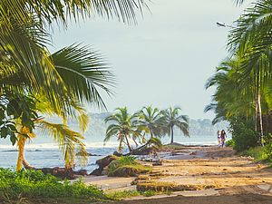 Erkundung der Insel Colón mit dem Fahrrad