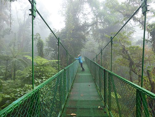 Hängebrücke im Monteverde-Nebelwald