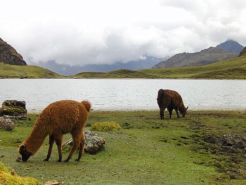 Traumhafte Landschaft im Andenhochland