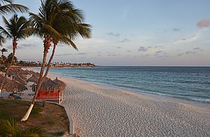 Divi Aruba Strand