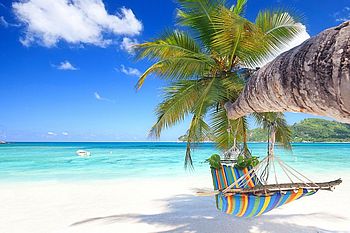 Hängematte an einer Palme am weißen Sandstrand lädt ein zum Entspannen an karibischen Stränden