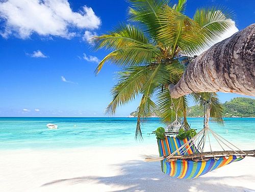 Hängematte an einer Palme am weißen Sandstrand lädt ein zum Entspannen an karibischen Stränden