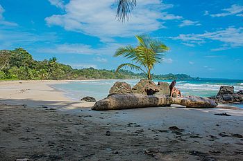 Red Frog Beach, Bocas del Torovvvvv