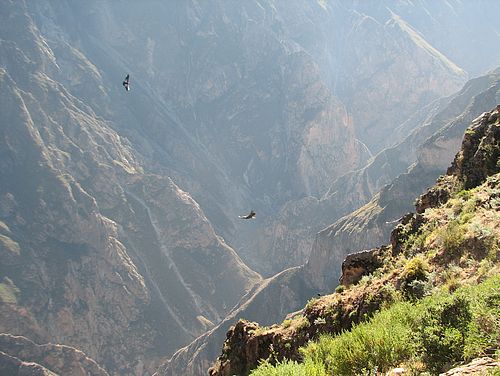Kreuz des Kondors im Colca Canyon