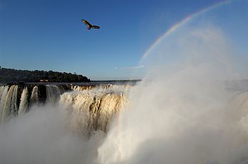 Wasserfall von Iguazu