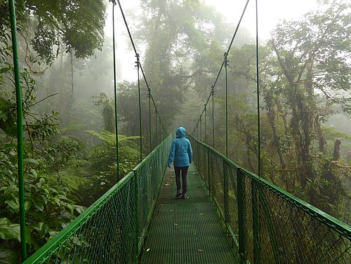 Hängebrücke im Selvatura Park