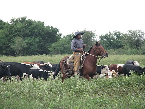 Ein Gaucho bei der Arbeit