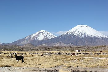 Vulkanlandschaft im Norden Chiles